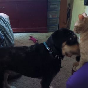 Meet your Posher, John